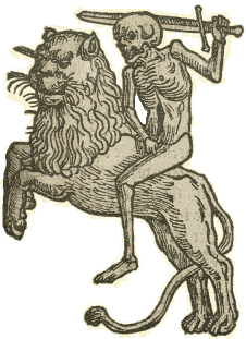lion